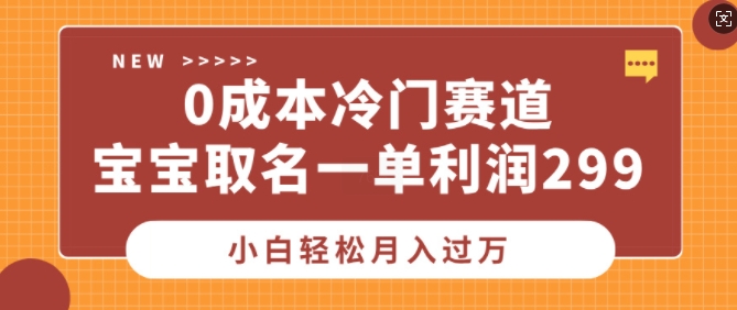 0成本冷门赛道，宝宝取名一单利润299，小白轻松月入过万-轻资本网