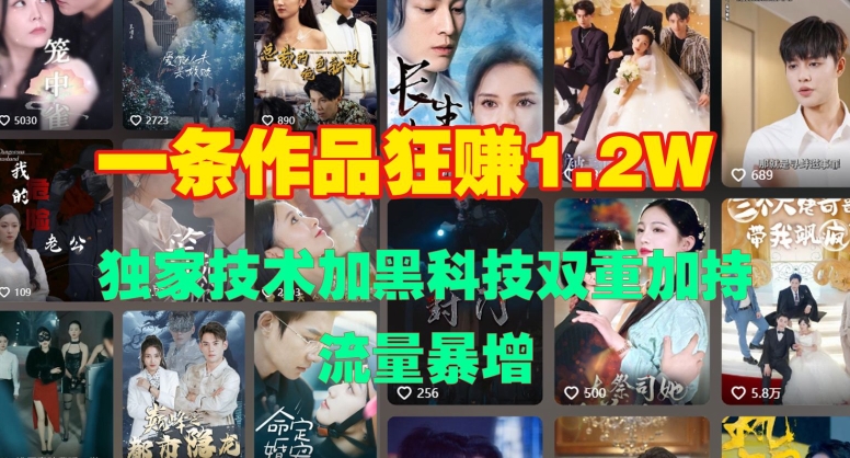 一条作品收益1.2w，独家技术加黑科技双重加持，流量暴增-轻资本网