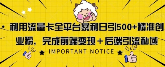 利用流量卡全平台暴利日引500+精准创业粉-轻资本网