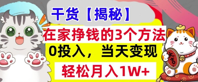 在家挣钱的3个方法，0投入，当天变现，轻松月入过W-轻资本网