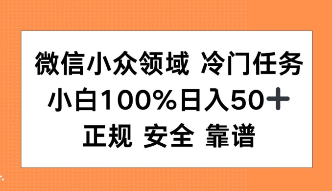 微信小众领域冷门特定任务，小白100%日入50+，正规安全靠谱-轻资本网