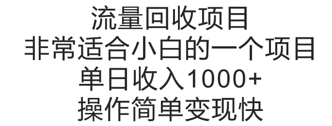 流量回收项目，非常适合小白的一个项目单日收入多张，操作简单变现快-轻资本网