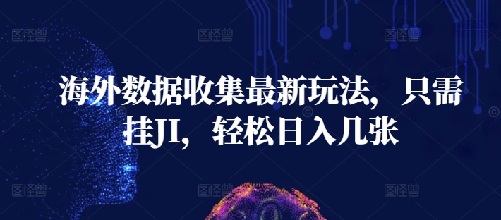 海外数据收集最新玩法，只需挂JI，轻松日入几张-轻资本网