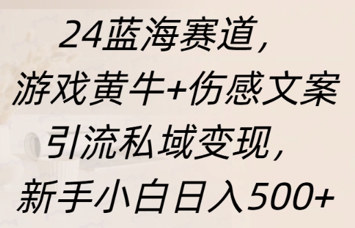 蓝海赛道，游戏黄牛+伤感文案引流私域变现，新手小白日入多张-轻资本网