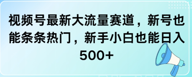 视频号最新大流量赛道，新号也能条条热门，新手小白也能日入5张-轻资本网