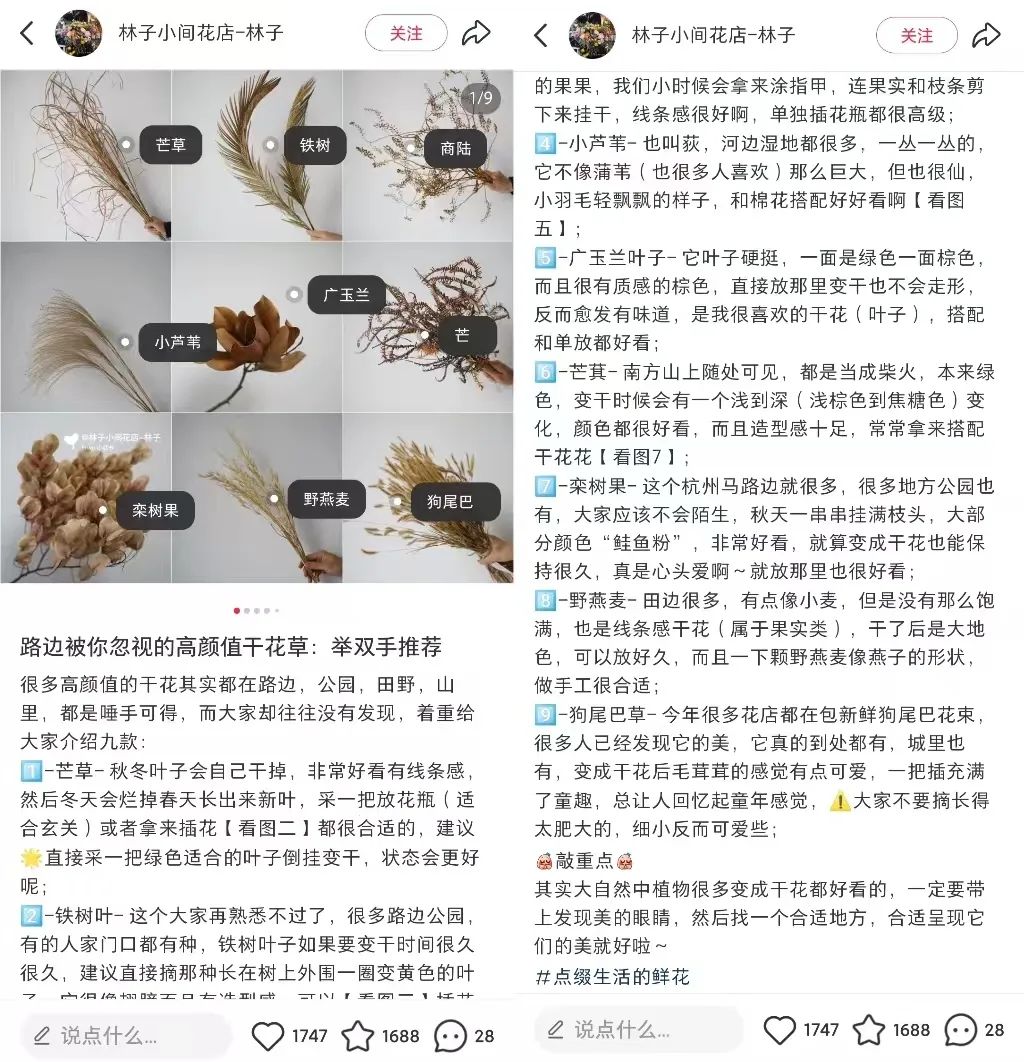 对话林子 | 靠干花干草就能月入5w+?小红书这家手作店铺是怎么做到的?