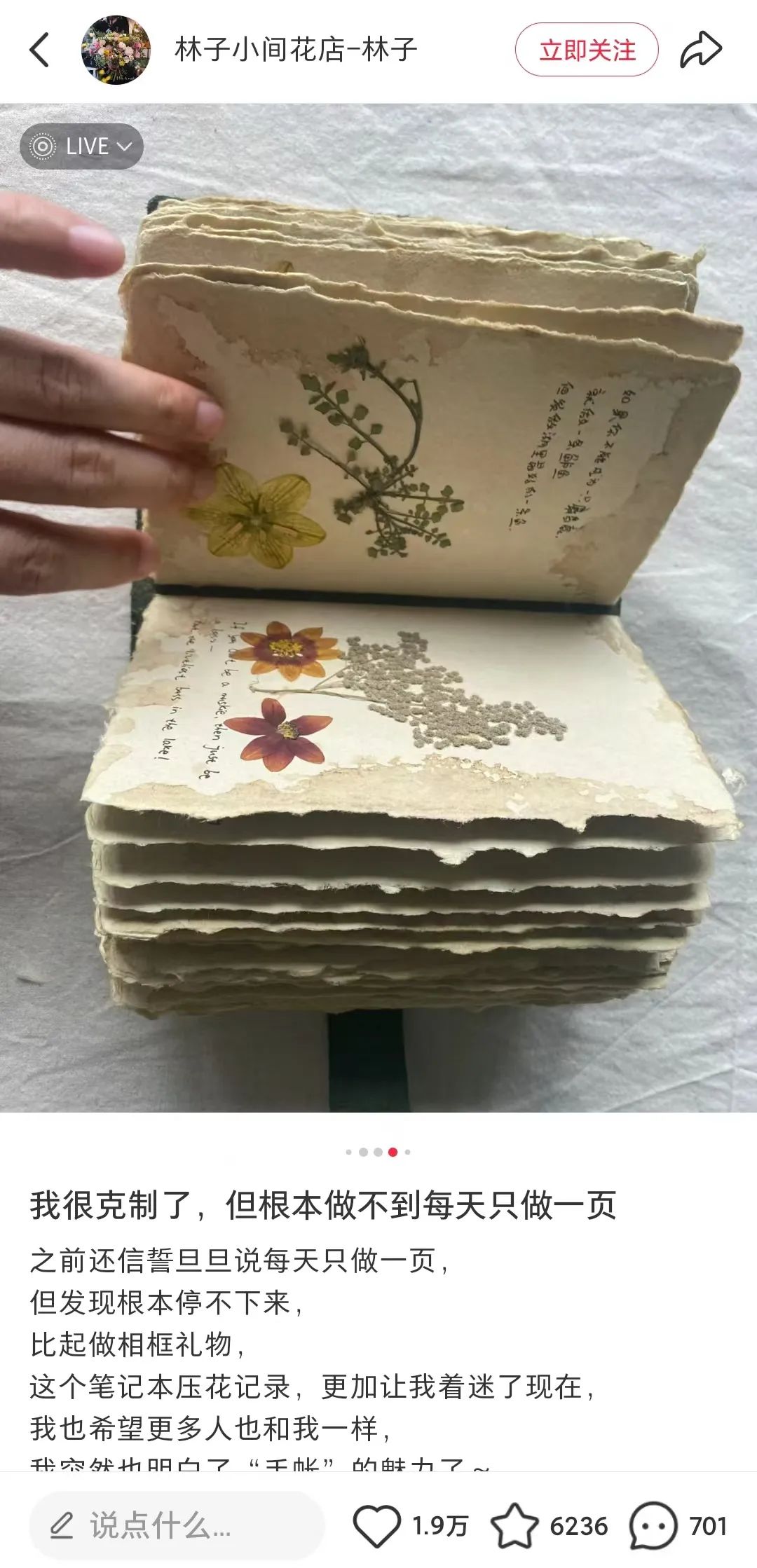 对话林子 | 靠干花干草就能月入5w+?小红书这家手作店铺是怎么做到的?