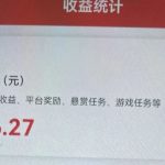 零撸任务项目,测试一天300!无脑简单操作。【附渠道】-轻资本网