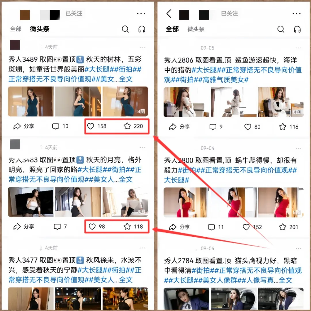 蓝海项目最新玩法，一天334.86，早做早吃肉