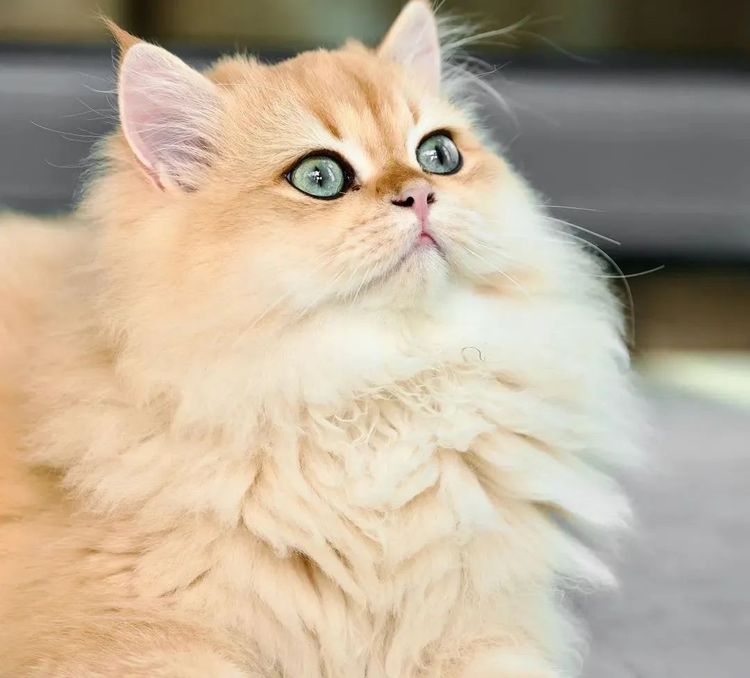 一个人就能干,比开药店还暴利,一单600-3000元,利润高达80%,有人靠它年入50万