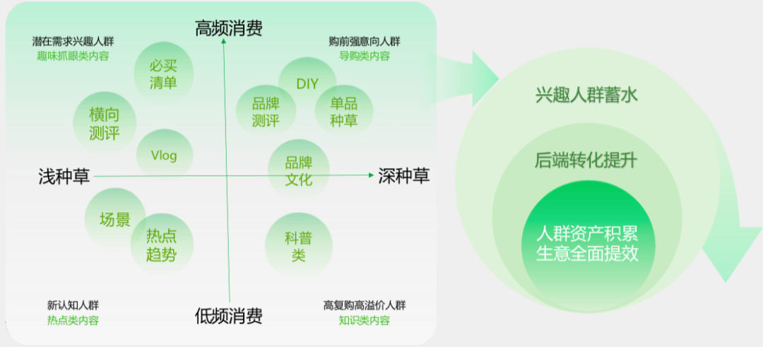 轻资本网创：实战指南：新锐品牌如何用小红书快速引爆丨干货