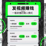 种草图文视频代发：零门槛新风口，矩阵操作带你日入过百！【附平台渠道】-轻资本网