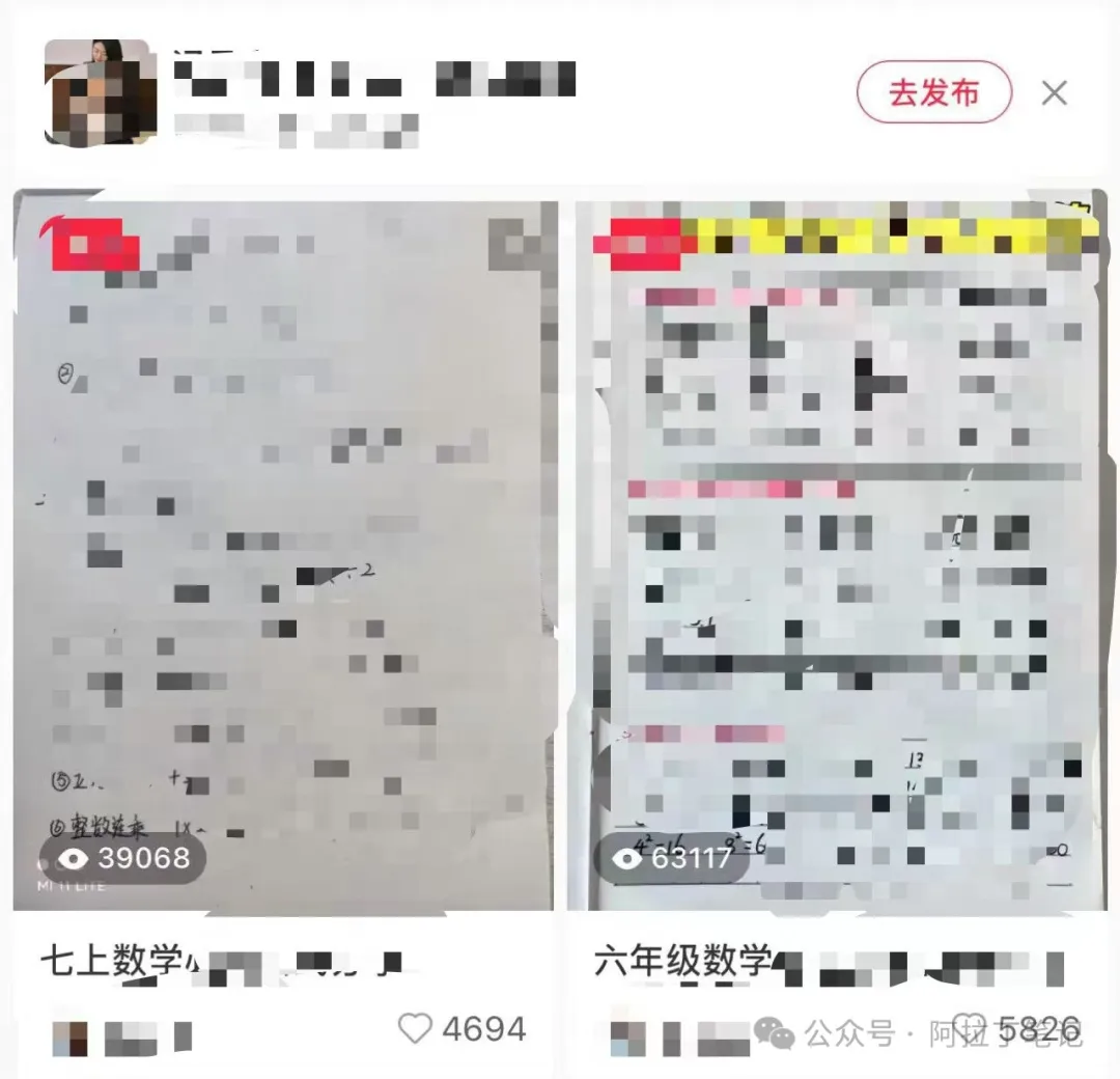 轻资本网:全自动收益,一天躺入2000块!