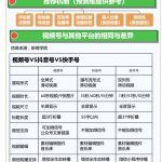 轻资本网赚:视频号起号5步全流程,新手也能实现10W+流量!-轻资本网