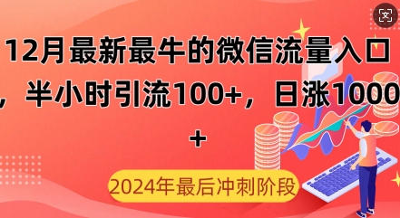 12月最新最牛的微信流量入口，半小时引流100+创业粉，日涨粉1000+-轻资本网