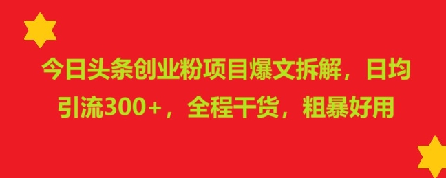 今日头条创业粉项目爆文拆解，日均引流300+，全程干货，粗暴好用-轻资本网