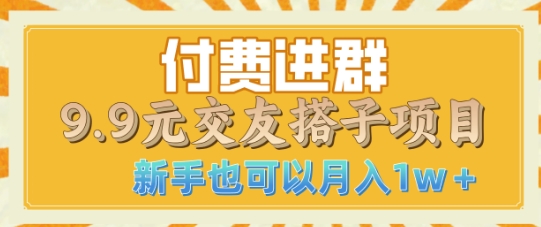 付费进群9.9交友搭子项目，熟练可矩阵操作，月收益过W-轻资本网