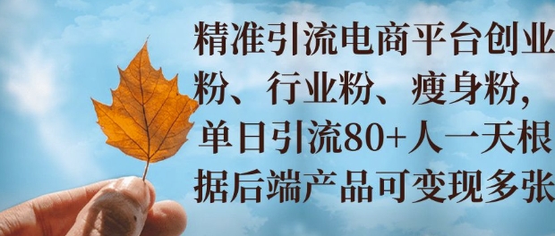 小投资撬动大收益，精准引流创业粉、行业粉，单日引流80+，一天可变现多张-轻资本网
