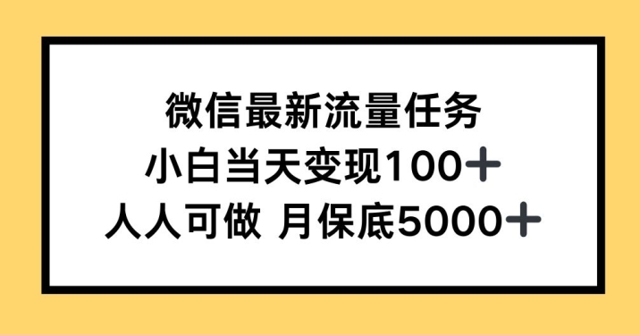 微信最新流量任务，小白当天变现100+，人人可做-轻资本网