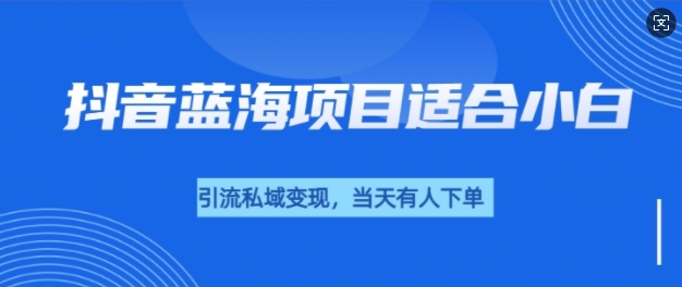 抖音蓝海小赛道私域变现项目，单价9.9单天变现100+，实操玩法分享给你-轻资本网