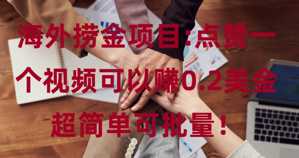 海外捞金项目点赞一个视频可以赚0.2美金，超简单可批量!-轻资本网