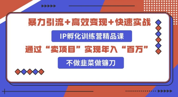 知识付费独家玩法：精准引流+高效变现，简单复制成功模式，最新IP共创导师训练营玩法-轻资本网