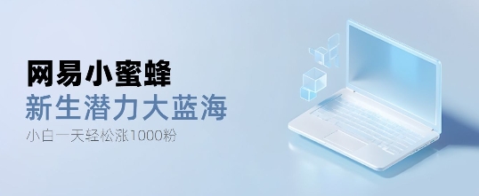 网易小蜜蜂，最新大蓝海项目，单日轻松日涨千粉-轻资本网