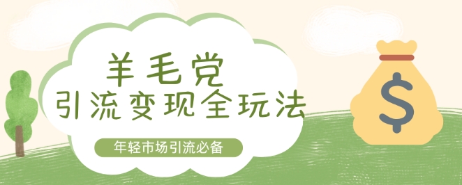 羊毛党引流变现全玩法，年轻市场引流必备-轻资本网