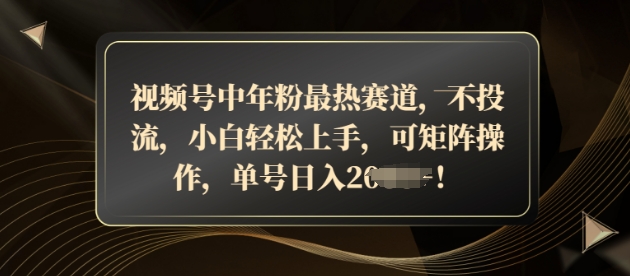 视频号中年粉最热赛道，不投流，小白轻松上手，可矩阵操作-轻资本网
