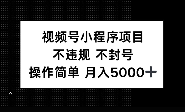 视频号小程序项目，不违规不封号，操作简单 月入5000+-轻资本网