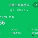 轻资本网赚:做好一个视频号加一个公众号可养活了一生-轻资本网