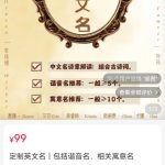 轻资本网创：做小红书产品号，真的太赚了！-轻资本网