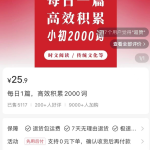 轻资本网：小众虚拟资源项目，AI批量制作，卖了13w+-轻资本网