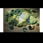 解锁小红书带货的成功秘诀，分分钟爆单！-轻资本网