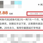 轻资本网赚：闲鱼代挂0投资副业项目，保姆级教程，让你一个月多赚几十张红票！-轻资本网