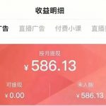 轻资本网赚：一天300+，无脑搬运搜狐视频，新手小白可做-轻资本网
