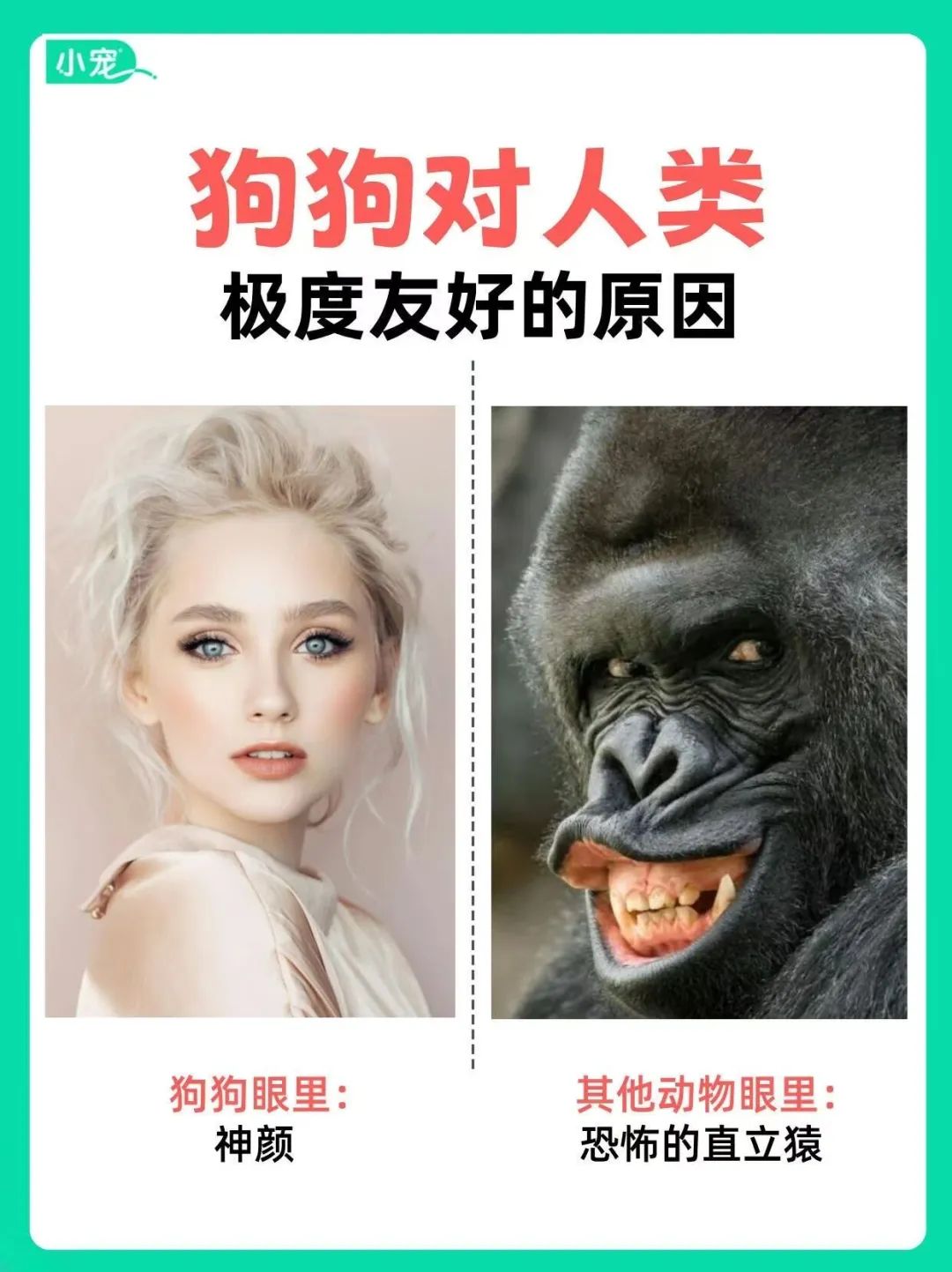 昨日营业额764.7元，微信的这个赚小钱入口，请直接锁死！（附方法指路）