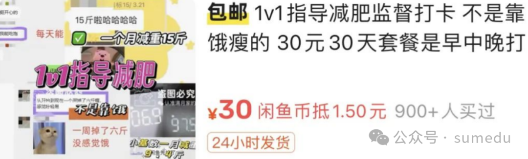 轻资本网赚：监督打卡也能月入过万？保姆级教程，复制粘贴即可操作-轻资本网