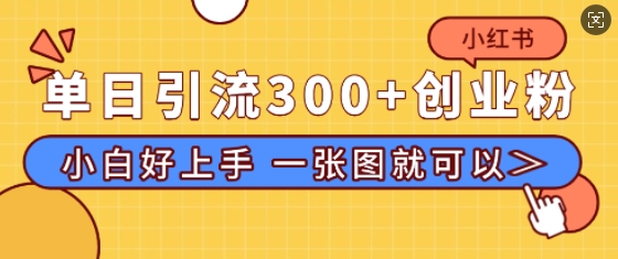 小红书单日引流300+创业粉，“简单粗暴”引流法，小白好上手，私信回不完-轻资本网