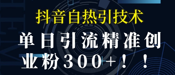 抖音自热引流，单日引流精准创业粉300+-轻资本网
