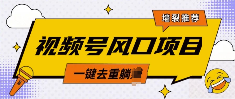 视频号风口蓝海项目，中老年人的流量密码，简单无脑，一键去重，轻松月入过W-轻资本网