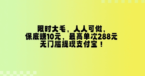 限时大毛，人人可做，保底挣10元，最高单次288元，无门槛提现支付宝！-轻资本网