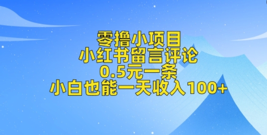 零撸小项目，小红书留言评论，0.5元一条，小白也能一天收入100+-轻资本网