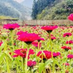 轻资本网赚：2025开始布局：风口已经很明显了!-轻资本网