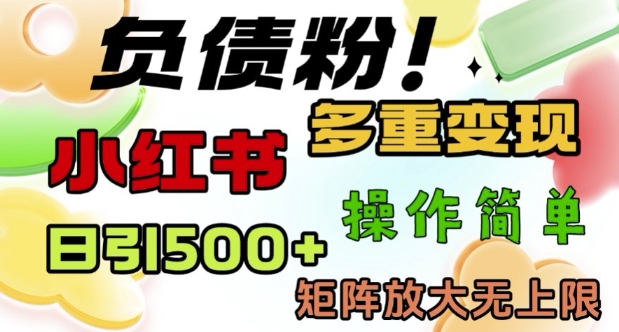 2月最新小红书日引500+负债粉,多重变现轻松过W,矩阵放大无上限