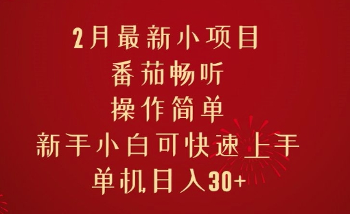 2月最新小项目，番茄畅听，操作简单，新手小白可快速上手，单机日入30+-轻资本网