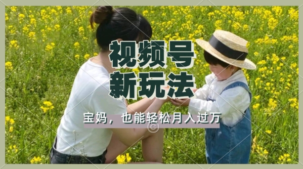 利用车祸意外视频，撸视频号分成收益，轻松月入过W，操作简单，适合宝妈，上班族-轻资本网
