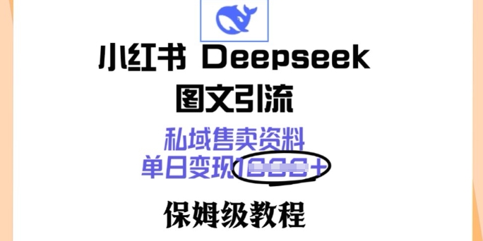 小红书Deepseek图文引流，私域售卖资料，单日变现多张，保姆级教程-轻资本网