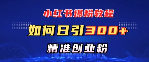 小红书爆粉教程，如何日引300+创业粉，快速实现精准变现-轻资本网