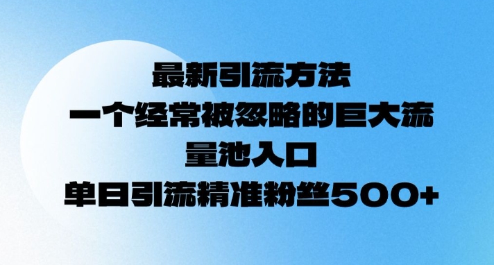 最新引流方法，一个经常被忽略的巨大流量池入口，单日精准引流粉丝500-轻资本网